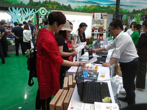 森林生态食品展区融合电商新活力，水利咨询服务为森博会添彩